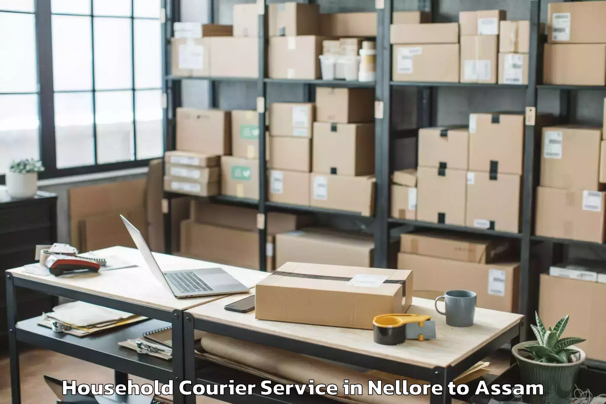 Reliable Nellore to Marigaon Household Courier